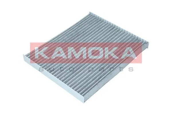 Filter, cabin air (F512701)