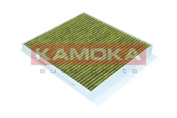 Filter, cabin air (6080162)