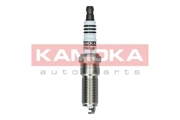 Spark Plug (7090533)