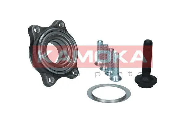 Wheel Bearing Kit (5500176)