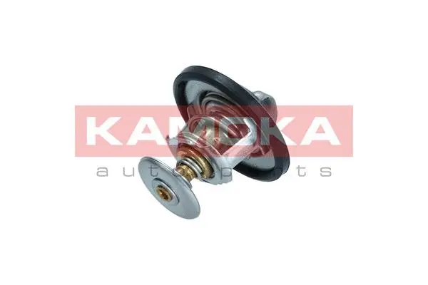 Thermostat, coolant (7710044)