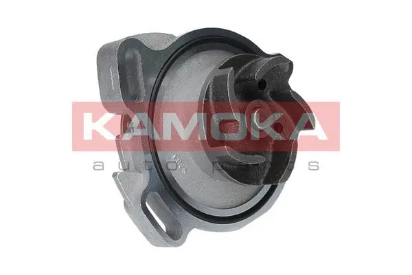Water Pump, engine cooling (T0275)
