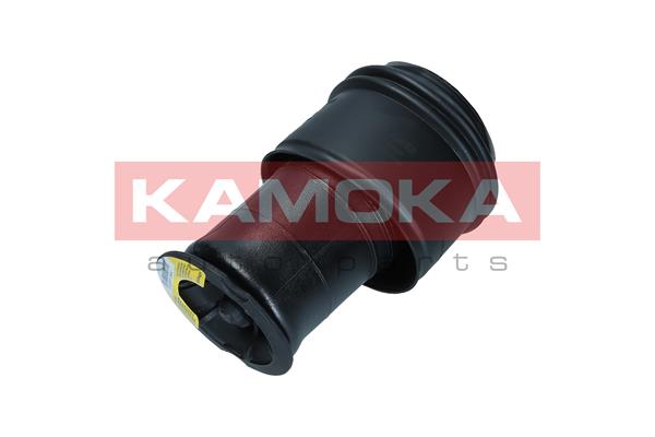 Air Spring, suspension