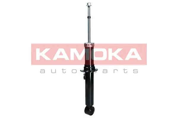 Shock Absorber (2000617)