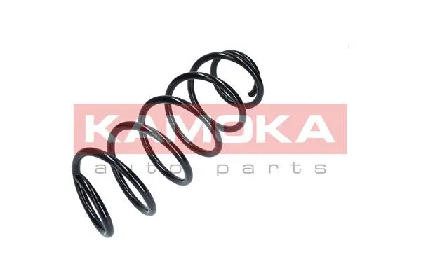 Suspension Spring (2110282)