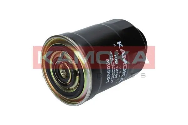 Fuel Filter (F303601)