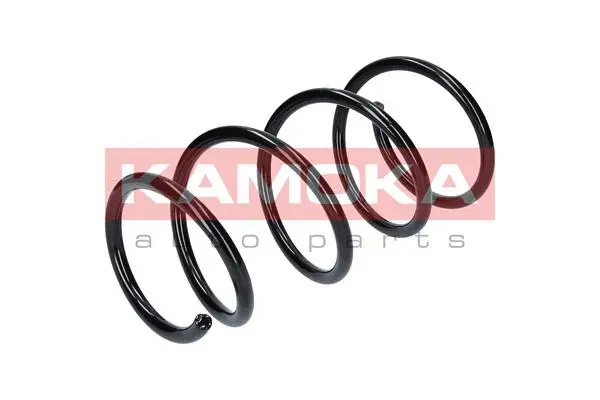 Suspension Spring (2110239)