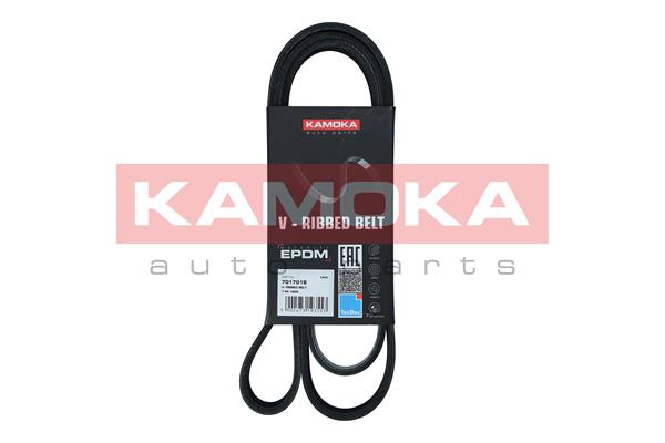 V-Ribbed Belt (7017018)