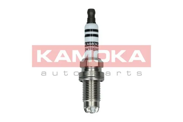 Spark Plug (7100514)