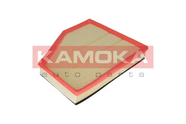 Air Filter (F219601)