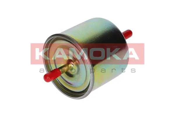 Fuel Filter (F302601)