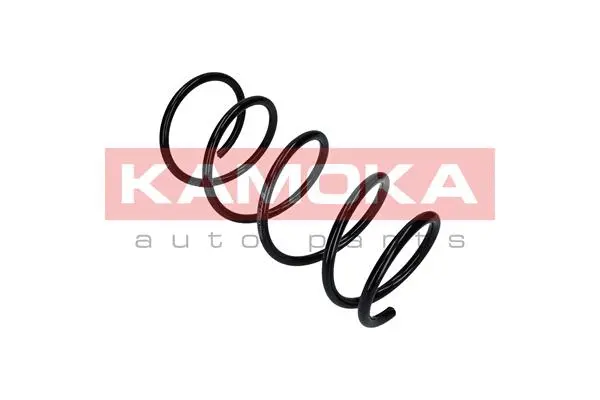 Suspension Spring (2110322)