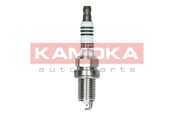 Spark Plug (7100054)