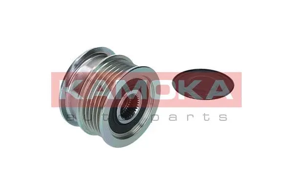 Alternator Freewheel Clutch
