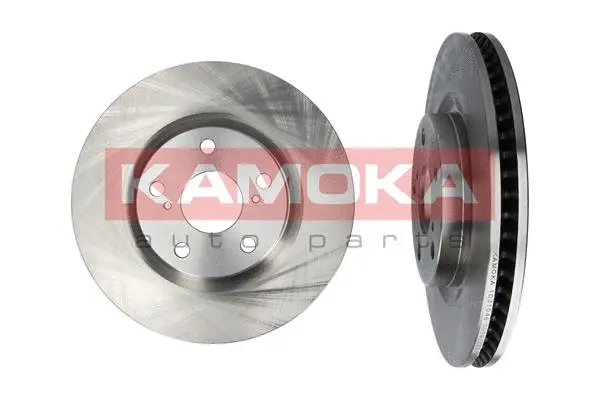 Brake Disc (1031046)