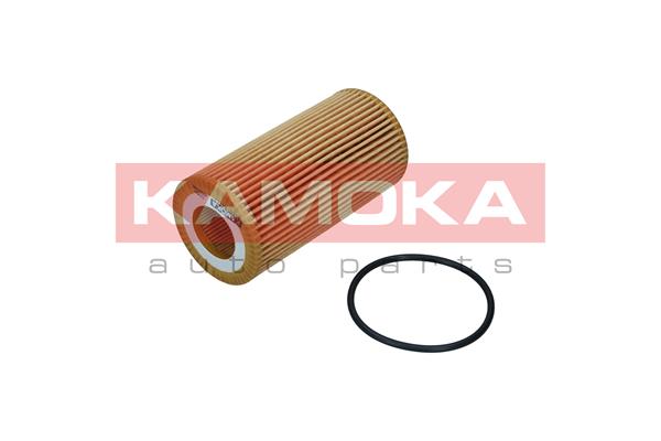 Oil Filter (F116001)