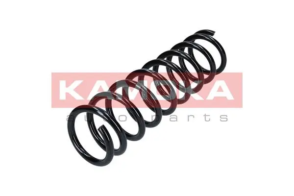 Suspension Spring (2120120)