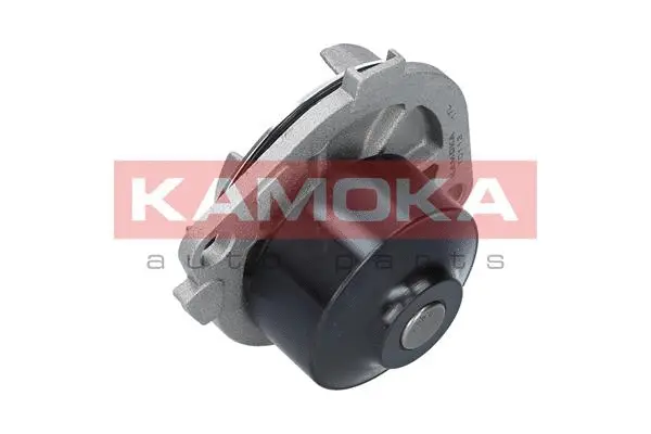Water Pump, engine cooling (T0113)