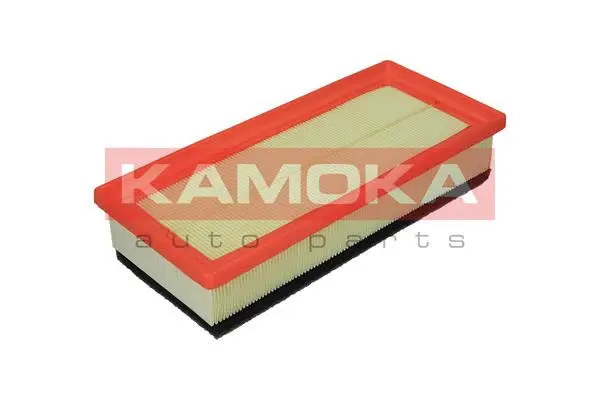 Air Filter (F218101)