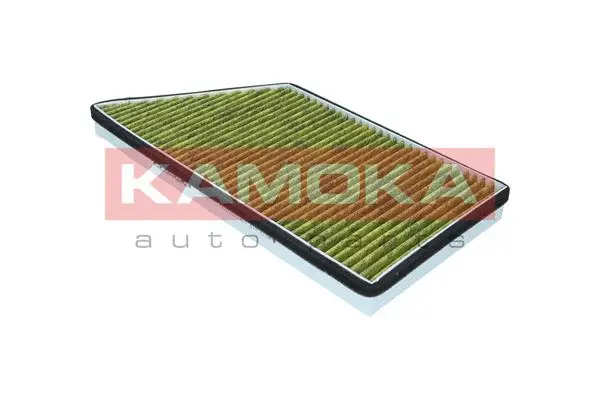 Filter, cabin air (6080172)
