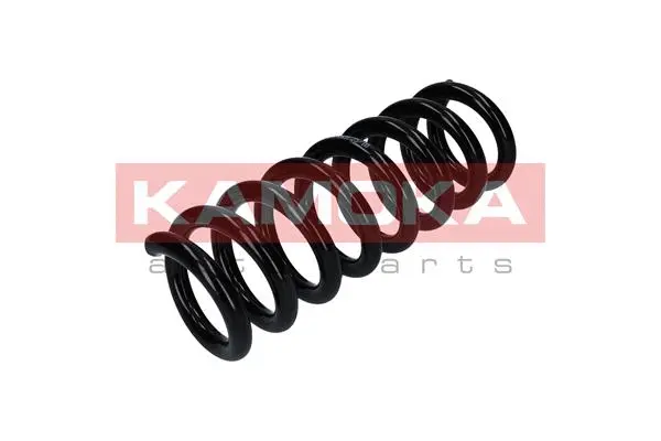 Suspension Spring (2120317)