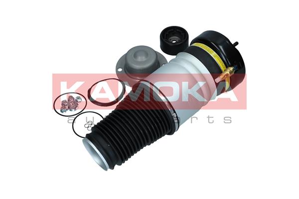 Air Spring, suspension