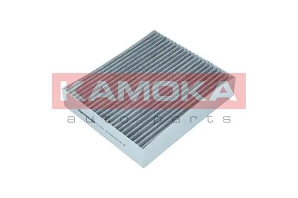 Filter, cabin air (F511601)