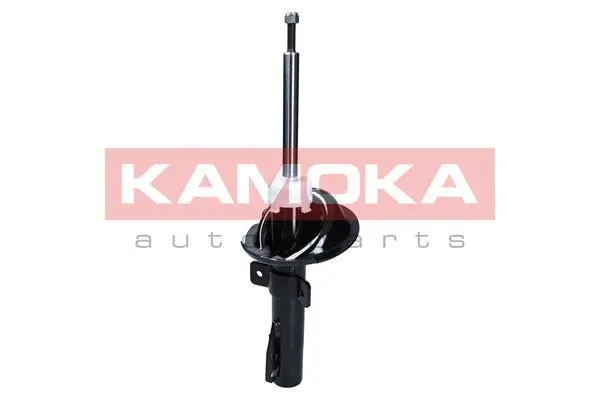 Shock Absorber (2000364)