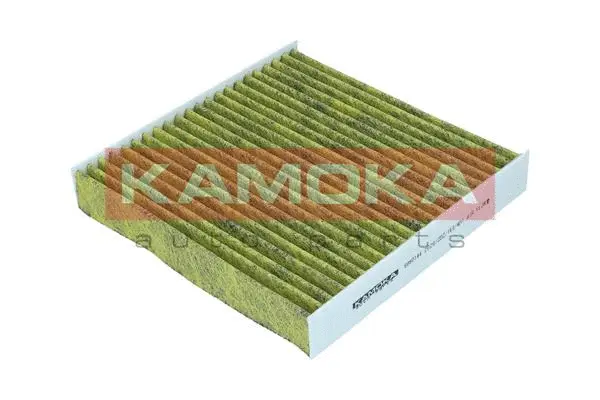 Filter, cabin air (6080144)
