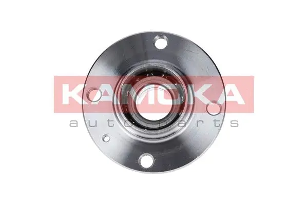 Wheel Bearing Kit (5500034)
