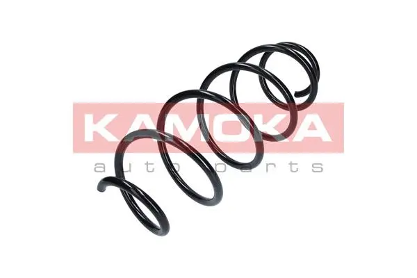 Suspension Spring (2110279)