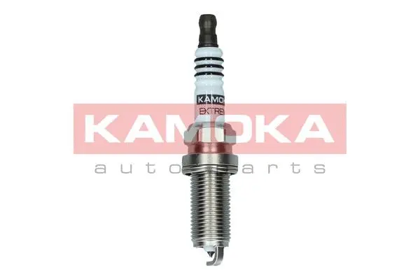 Spark Plug (7090030)