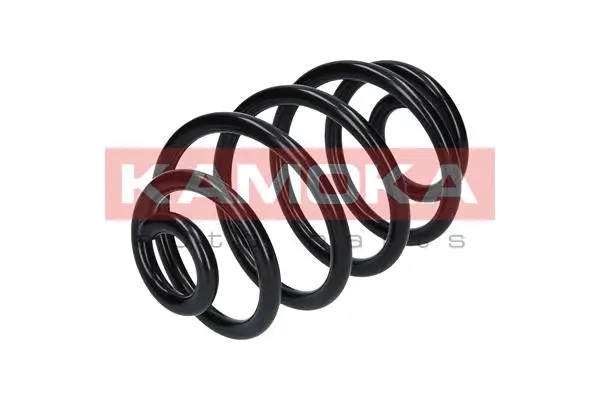 Suspension Spring (2120055)