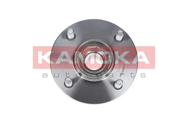 Wheel Bearing Kit (5500038)