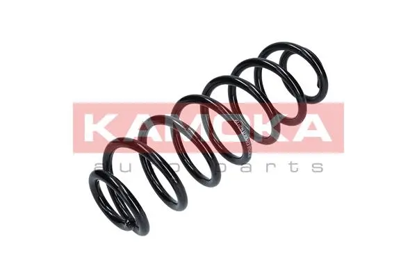 Suspension Spring (2120268)
