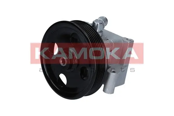 Hydraulic Pump, steering (PP093)