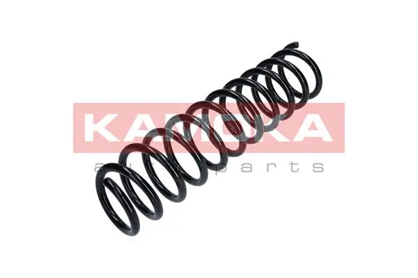 Suspension Spring (2120238)