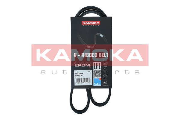 V-Ribbed Belt (7016021)