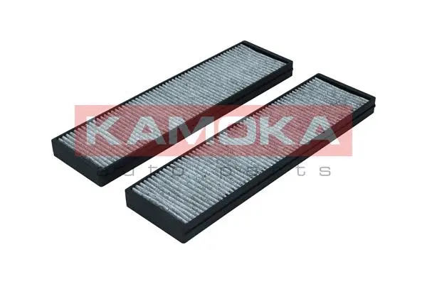 Filter, cabin air (F516401)