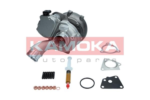 Charger, charging (supercharged/turbocharged) (8600042)