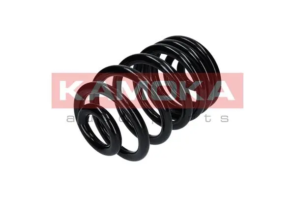 Suspension Spring (2120291)