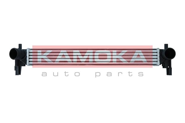 Charge Air Cooler (7750012)