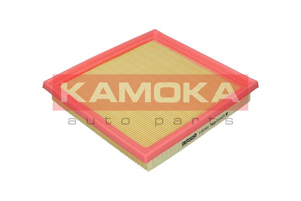 Air Filter (F257401)