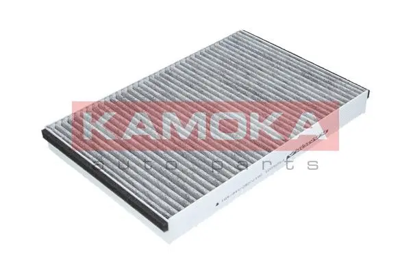 Filter, cabin air (F505001)