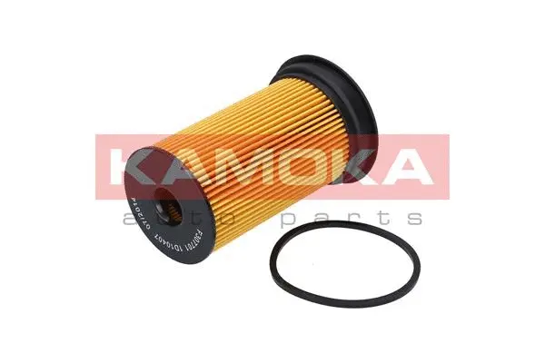 Fuel Filter (F307701)