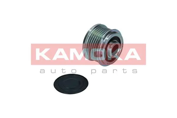 Alternator Freewheel Clutch (RC025)