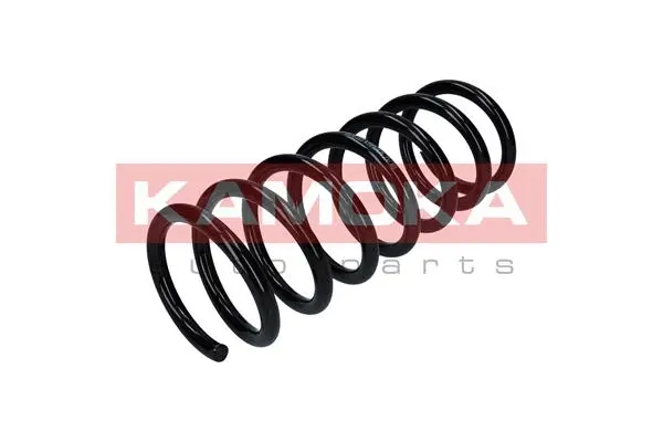 Suspension Spring (2120315)