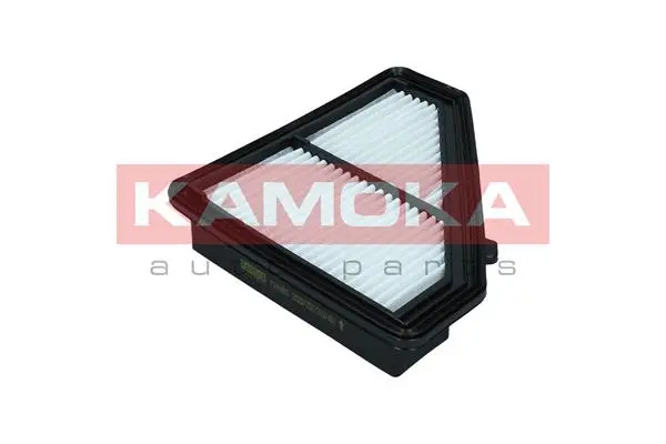 Air Filter (F244901)