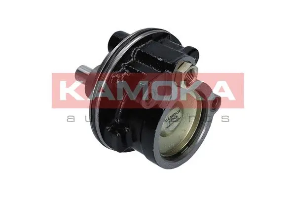 Hydraulic Pump, steering (PP049)