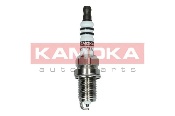Spark Plug (7090514)